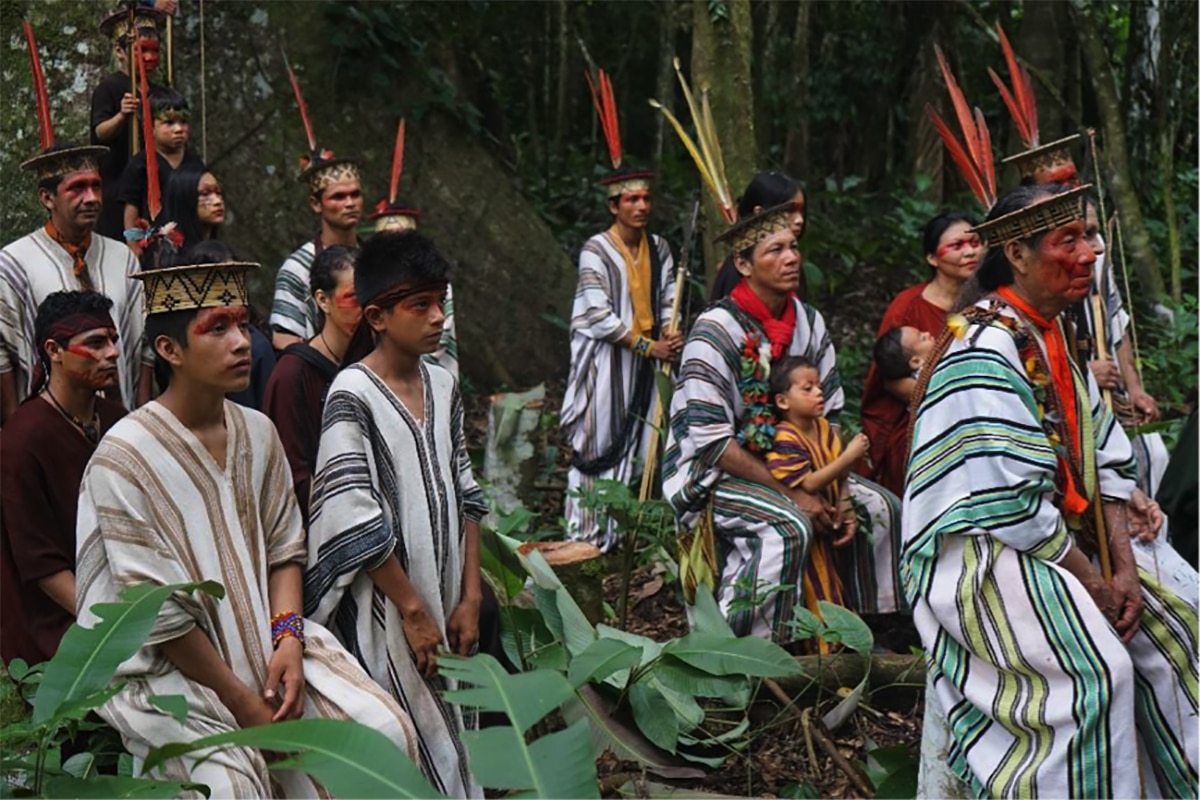 Embracing biological and cultural diversity: An interview with Dr Jerome Lewis