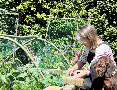 A career in conservation: an interview with Julie Thomas