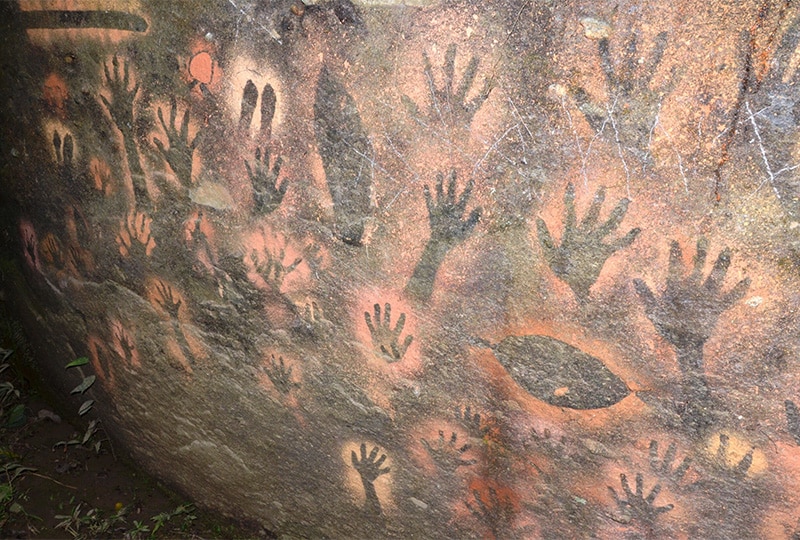 Email exclusive: From the field: gallery of photos fresh from our conservation partners