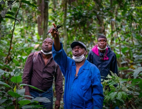 Towards better climate funding: centring Indigenous Peoples and local communities